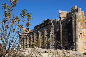 Maroko 10 dni I 2026 